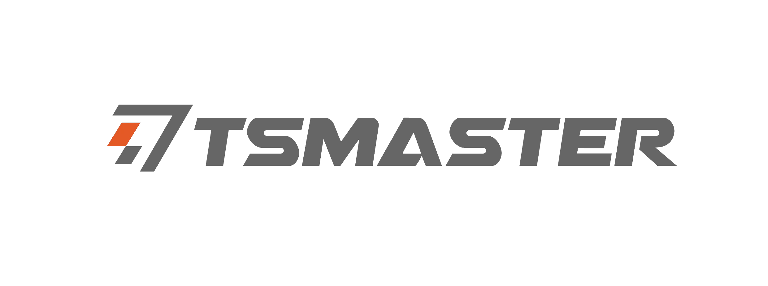 TSMaster logo