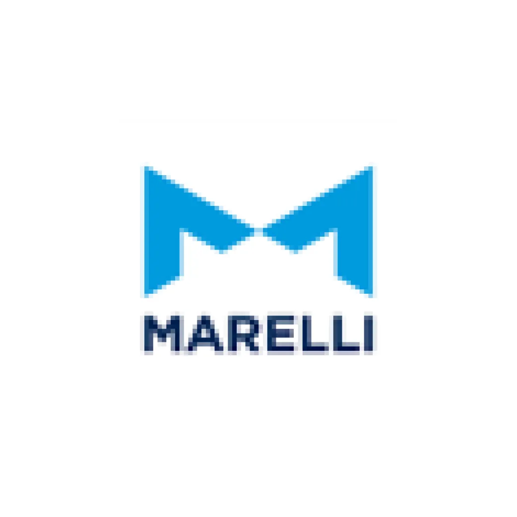 TOSUN Partners & Customers - MARELLI