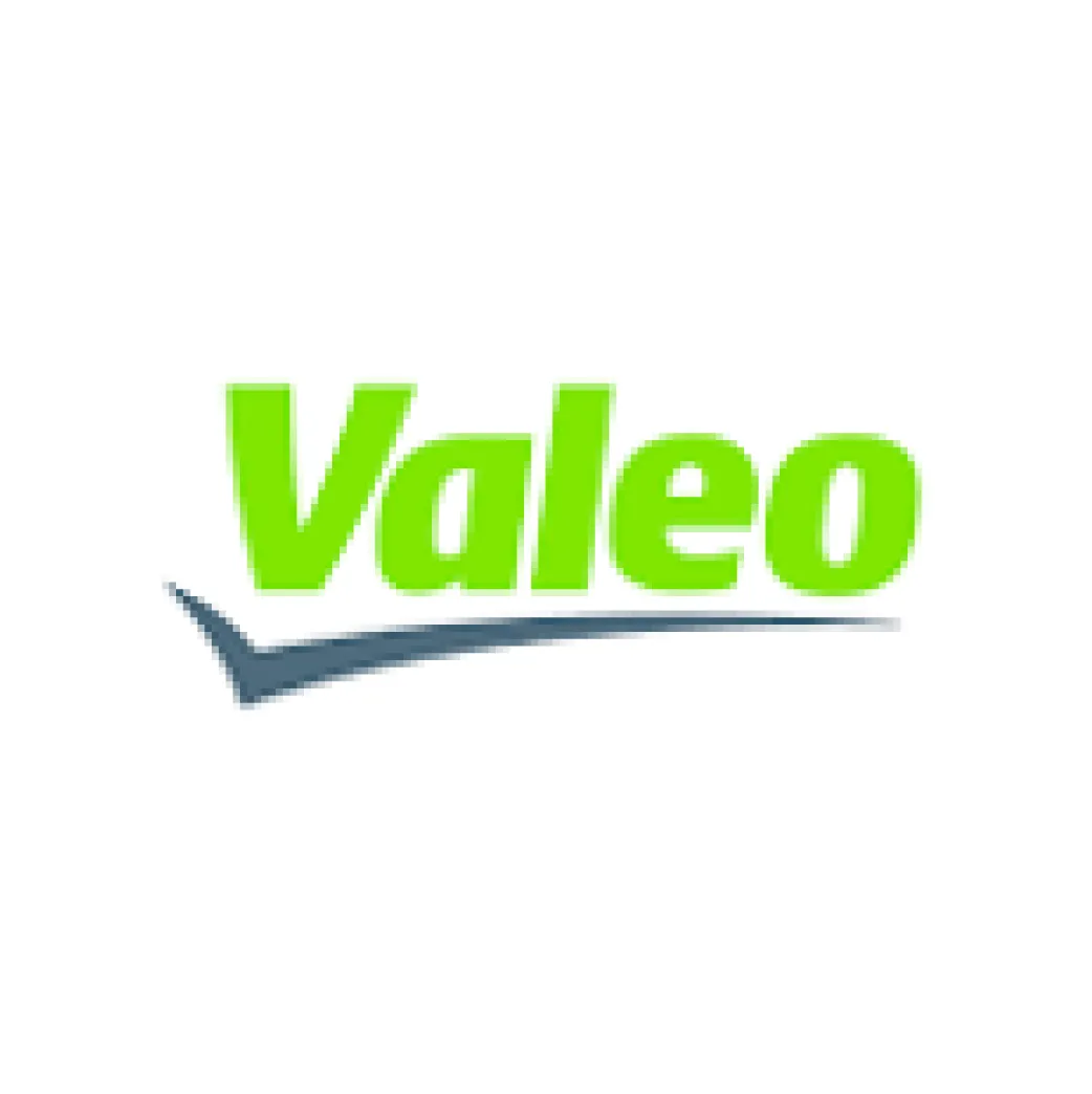 TOSUN Partners & Customers - Valeo