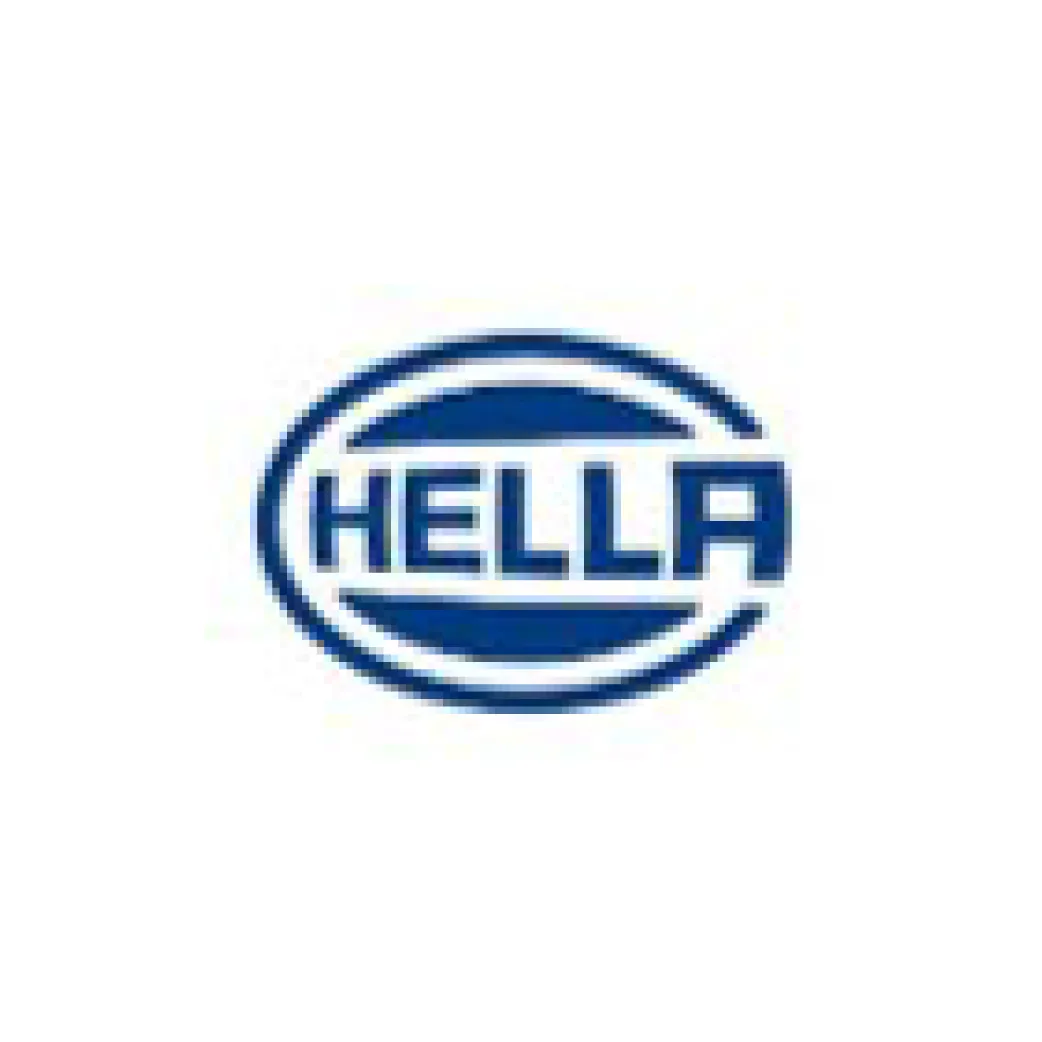 TOSUN Partners & Customers - HELLA